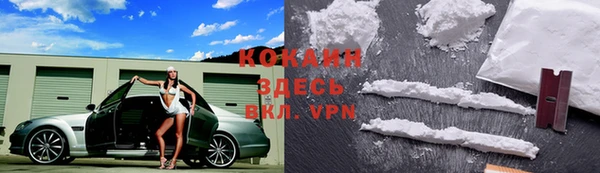 mdpv Заводоуковск