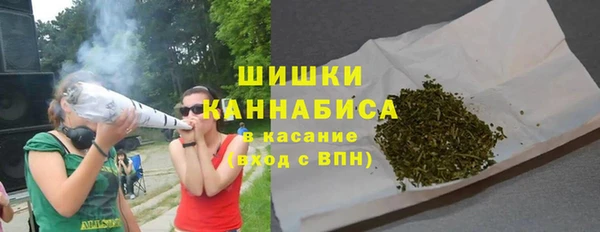 mdpv Заводоуковск