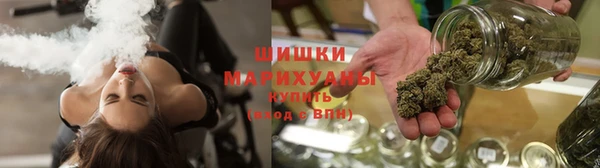 mdpv Заводоуковск