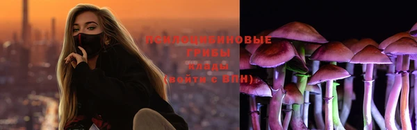 spice Заволжск