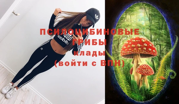 mdpv Заводоуковск