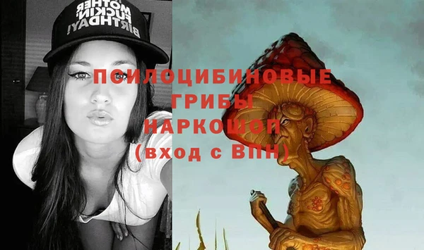 spice Заволжск