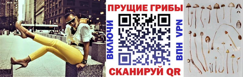 Купить  Краснокамск  Галлюциногенные грибы MAGIC MUSHROOMS 
